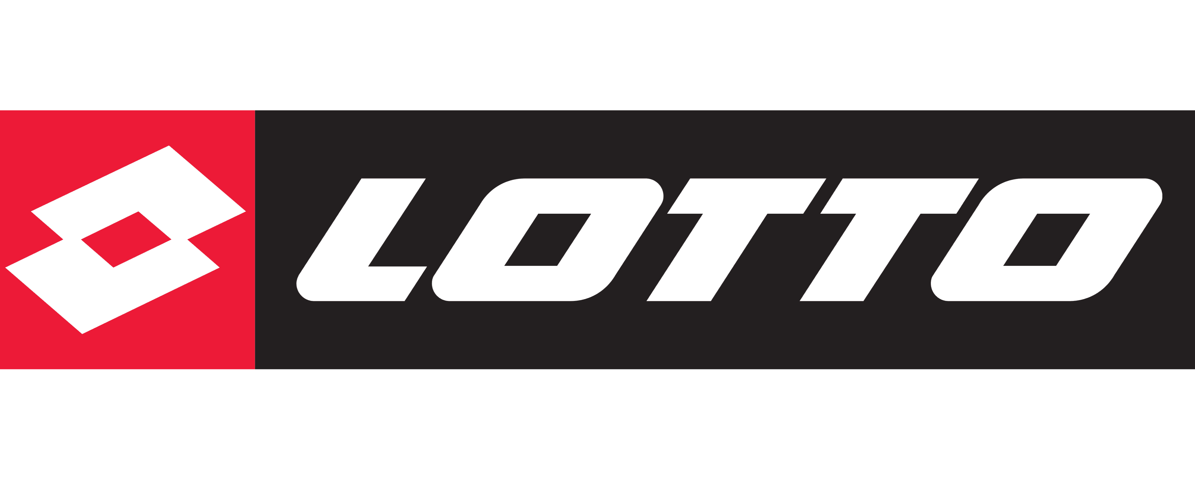 Lotto-logo-Performance.png