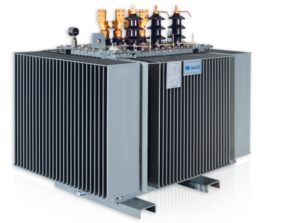 Oil Immersed Transformers