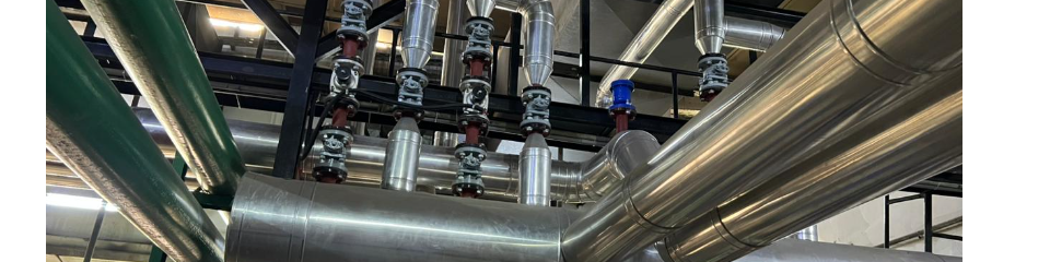 WhatsApp Image 2025-11-15 at 8.45.51 PM (1).jpg