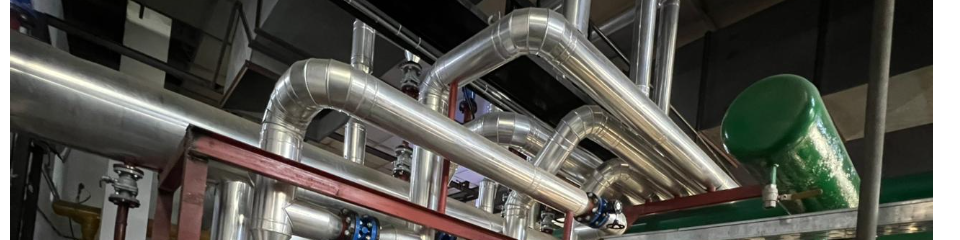 WhatsApp Image 2025-11-15 at 8.45.51 PM.jpg