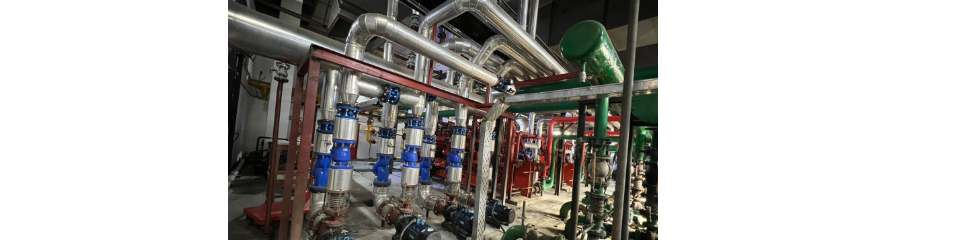 WhatsApp Image 2025-11-15 at 8.45.51 PM.jpg