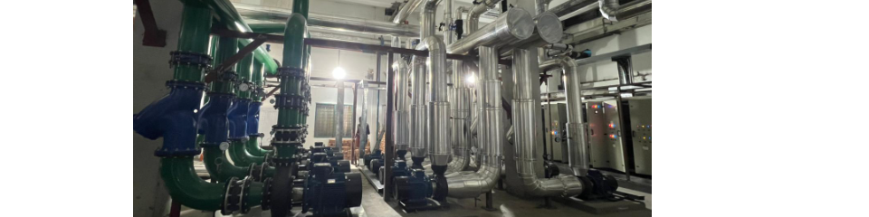 WhatsApp Image 2025-11-15 at 8.45.51 PM (2).jpg